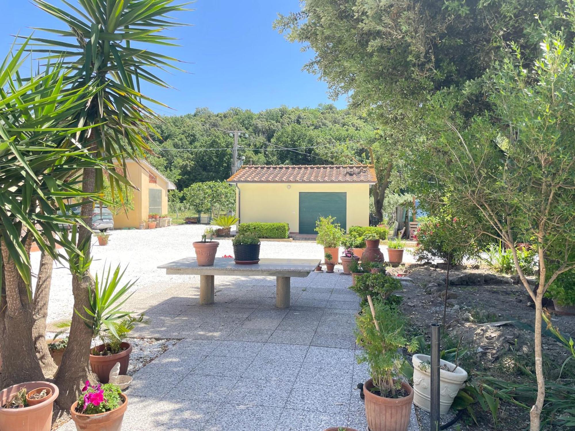 Il Leccio Agriturismo Fiorino ภายนอก รูปภาพ