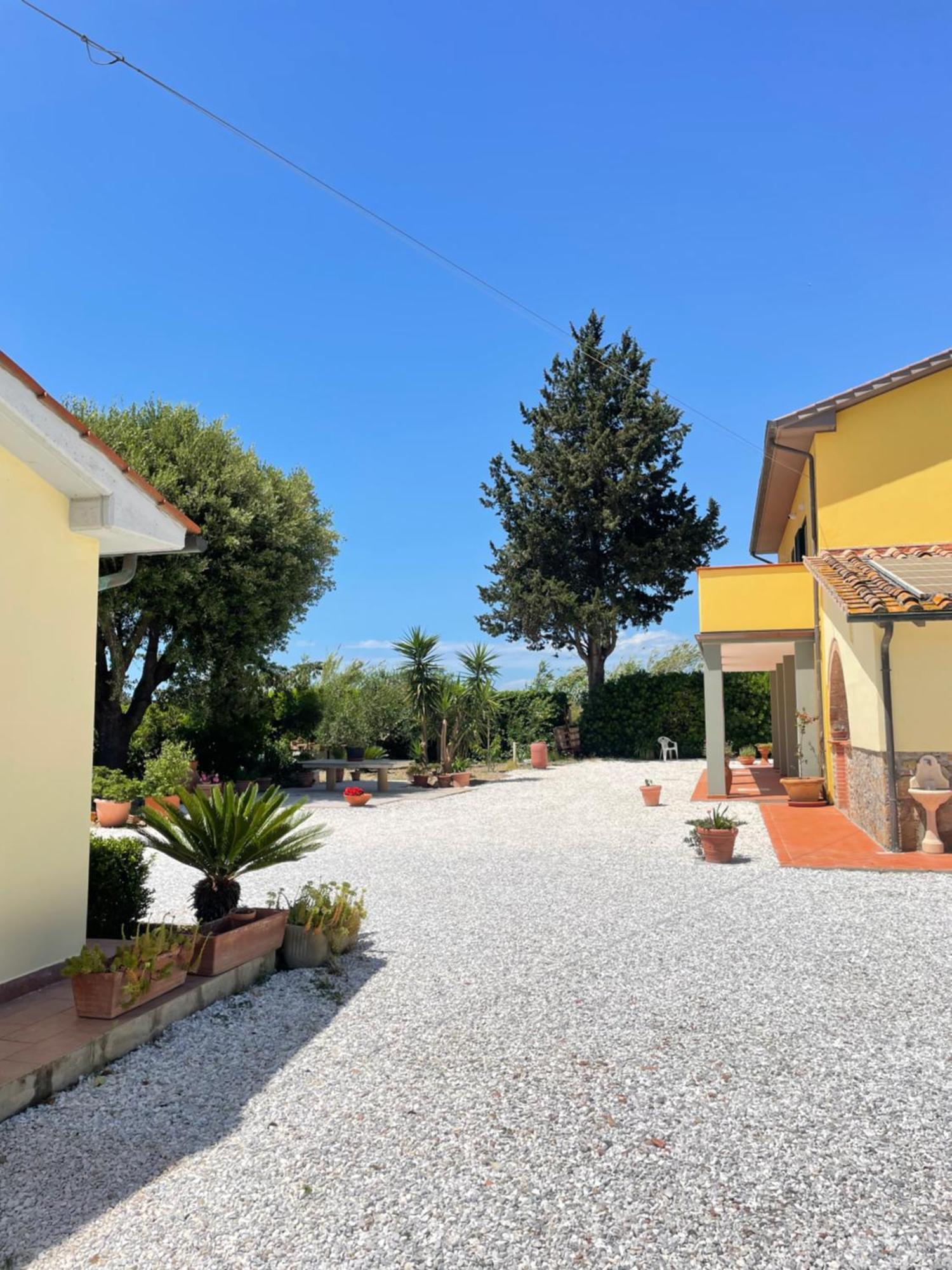 Il Leccio Agriturismo Fiorino ภายนอก รูปภาพ