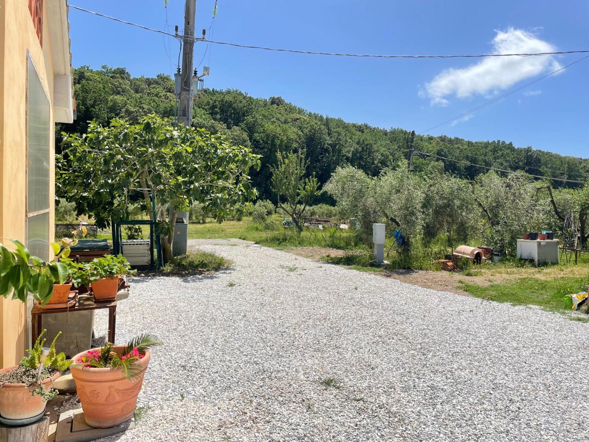 Il Leccio Agriturismo Fiorino ภายนอก รูปภาพ