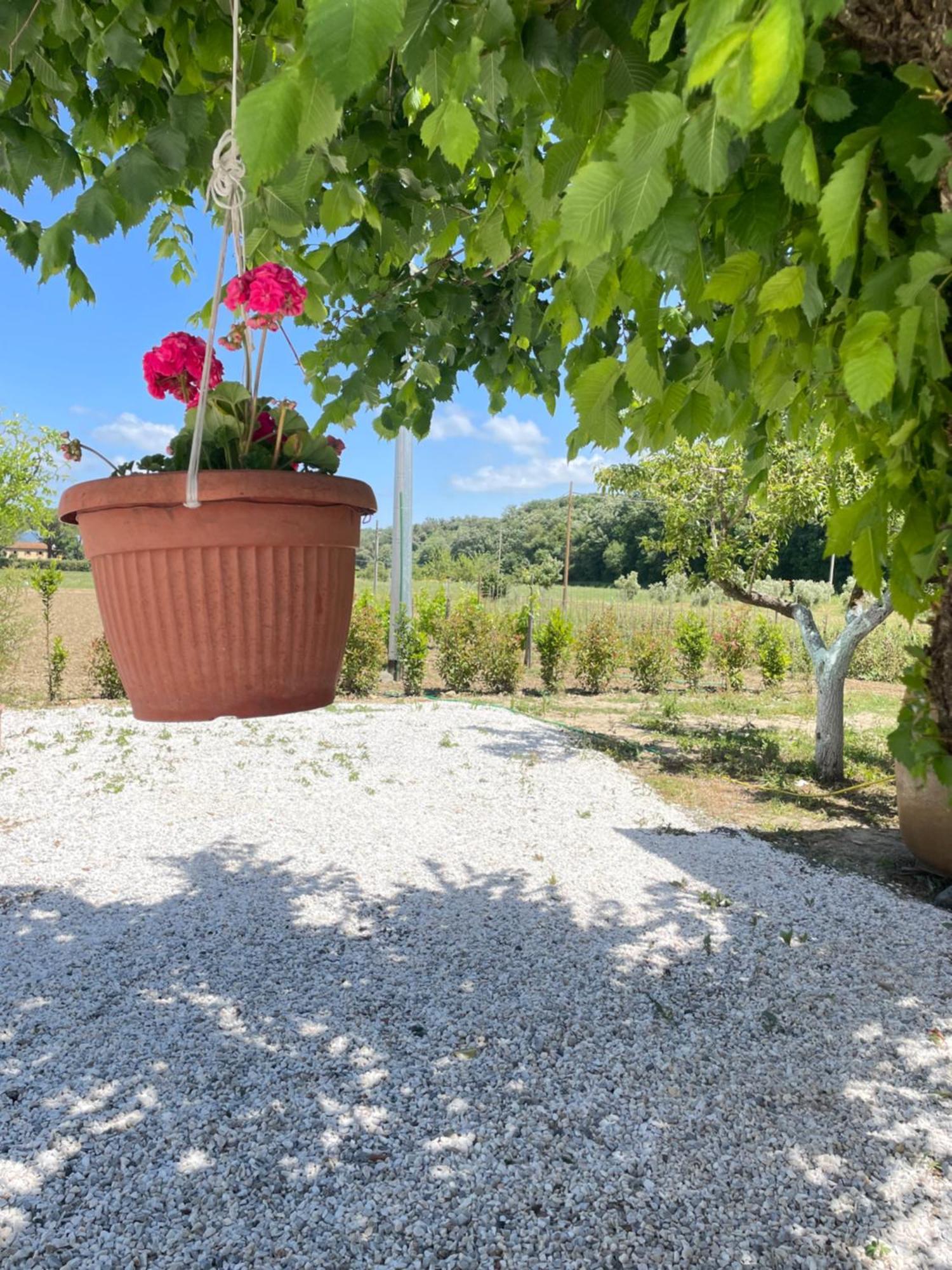 Il Leccio Agriturismo Fiorino ภายนอก รูปภาพ
