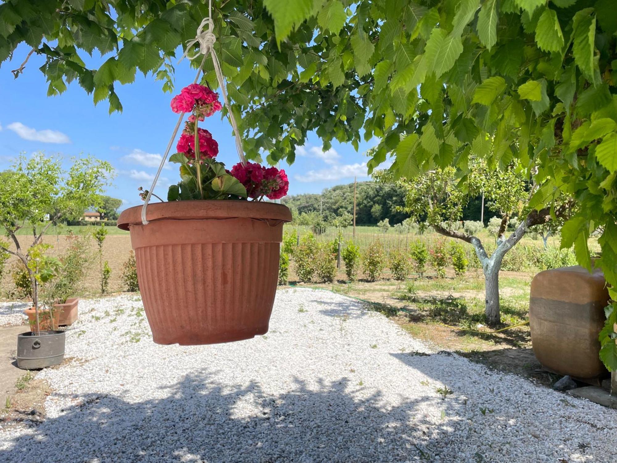 Il Leccio Agriturismo Fiorino ภายนอก รูปภาพ