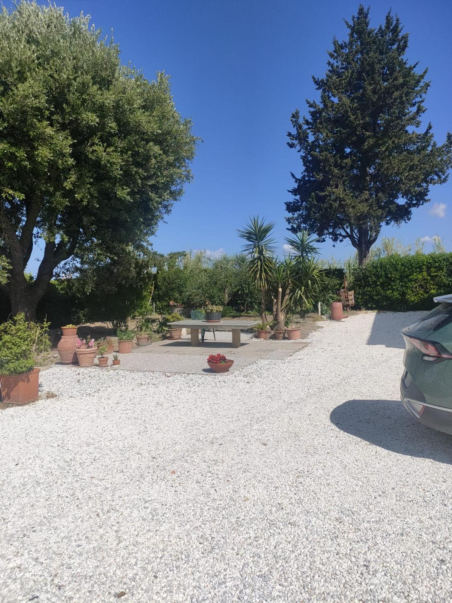 Il Leccio Agriturismo Fiorino ภายนอก รูปภาพ