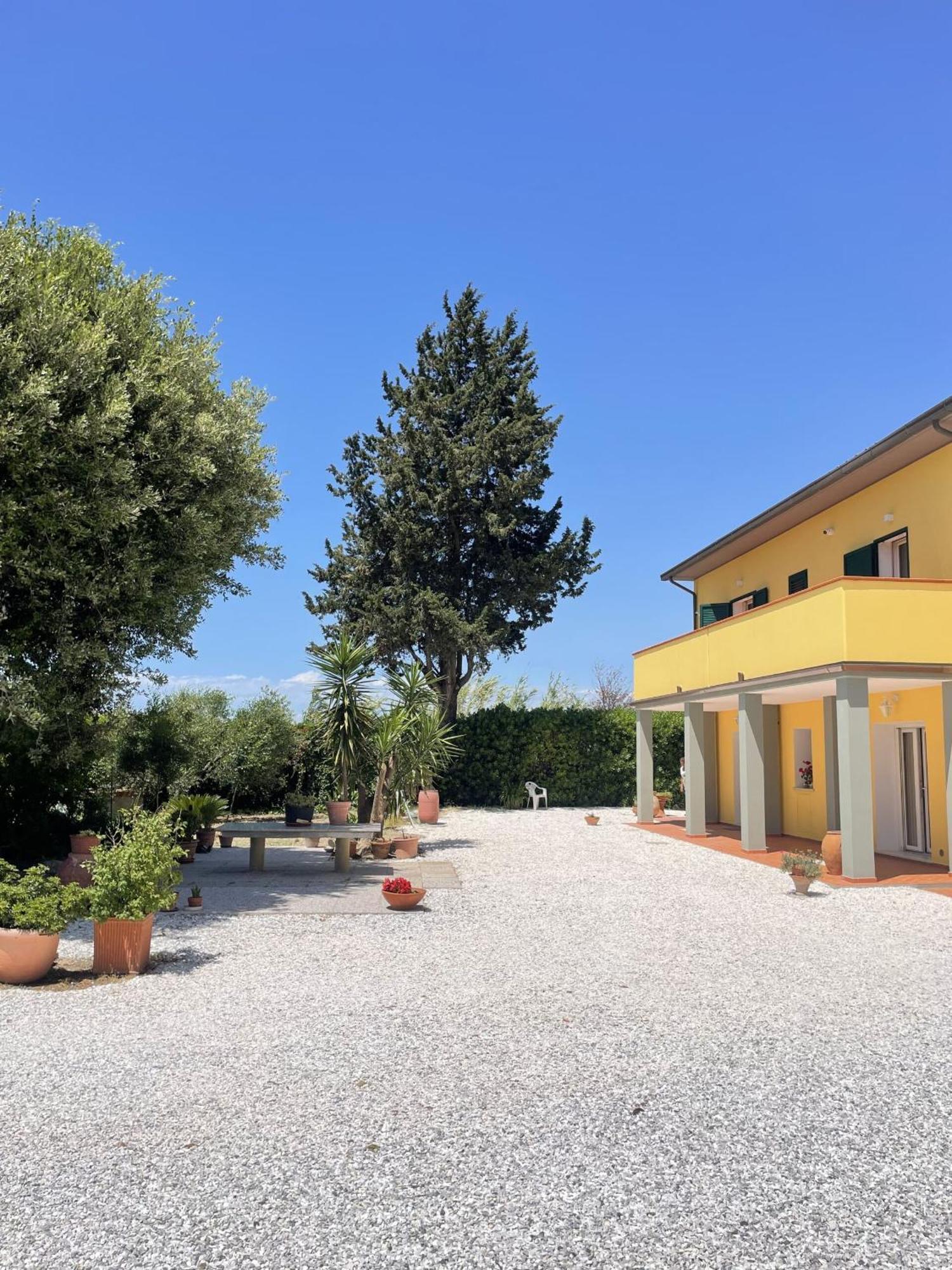 Il Leccio Agriturismo Fiorino ภายนอก รูปภาพ